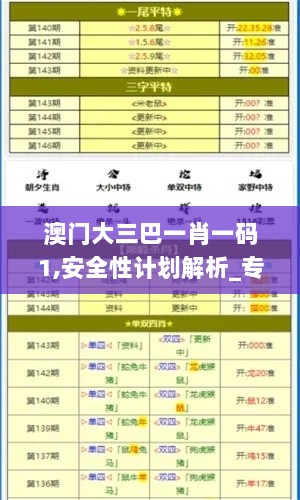 澳门大三巴一肖一码1,安全性计划解析_专业款77.749-4