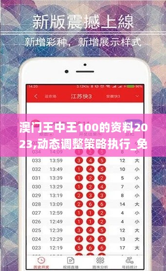 澳门王中王100的资料2023,动态调整策略执行_免费版5.899-6