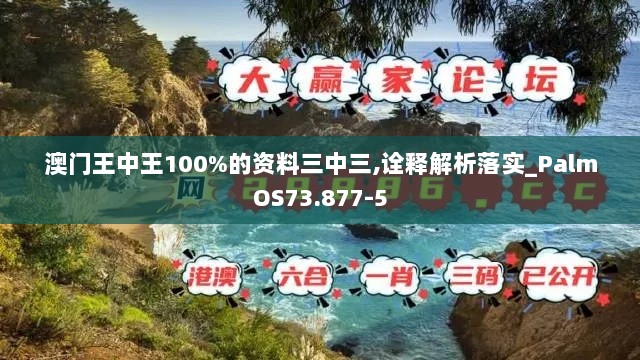 澳门王中王100%的资料三中三,诠释解析落实_PalmOS73.877-5