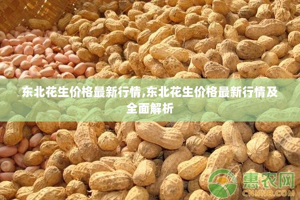 东北花生价格最新行情全面解析