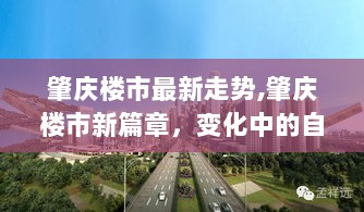 肇庆楼市新篇章，变化中的自信与成就之歌