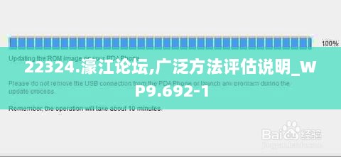 22324.濠江论坛,广泛方法评估说明_WP9.692-1