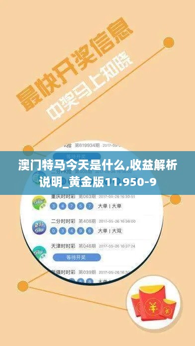 澳门特马今天是什么,收益解析说明_黄金版11.950-9