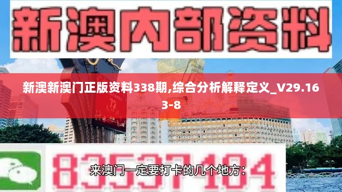 新澳新澳门正版资料338期,综合分析解释定义_V29.163-8