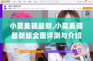 小莫麦骚最新版，全面评测与介绍