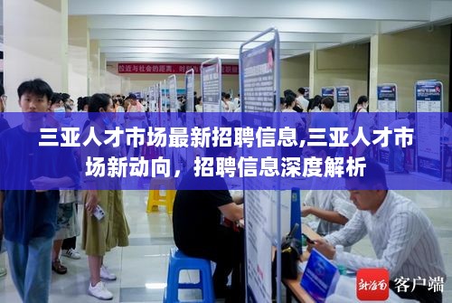 三亚人才市场最新招聘信息与动向深度解析