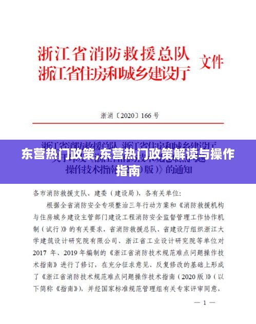 东营热门政策解读与操作指南