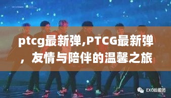 PTCG最新弹，友情与陪伴的温馨之旅