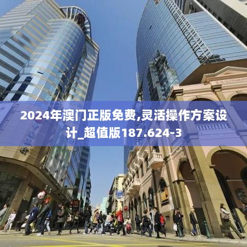 2024年澳门正版免费,灵活操作方案设计_超值版187.624-3