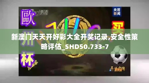 新澳门天天开好彩大全开奖记录,安全性策略评估_SHD50.733-7