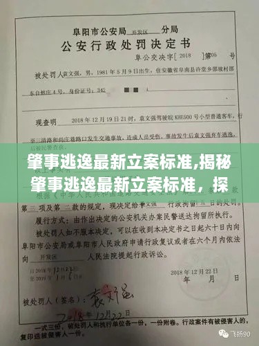 揭秘肇事逃逸最新立案标准，探寻隐藏美食的神秘小巷