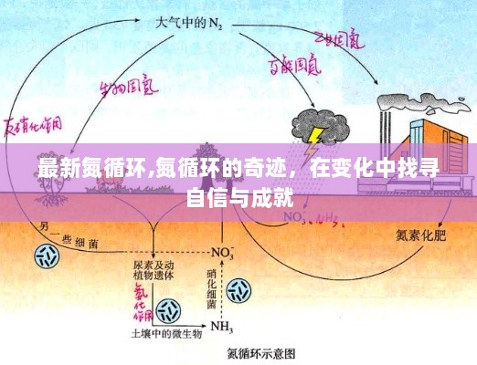 氮循环的奇迹，变化中的自信与成就