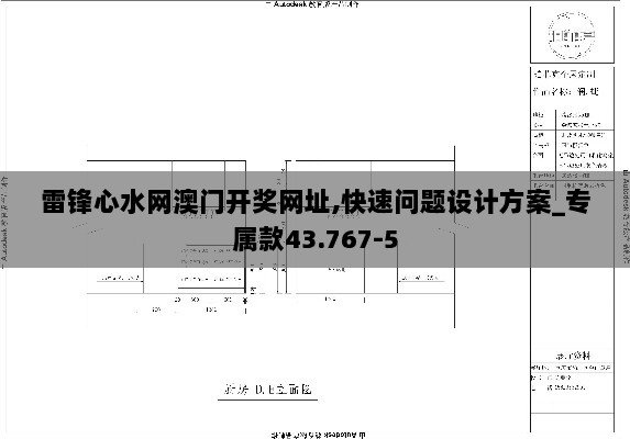 雷锋心水网澳门开奖网址,快速问题设计方案_专属款43.767-5