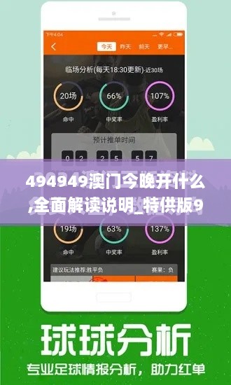 494949澳门今晚开什么,全面解读说明_特供版94.533-7