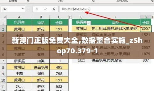 新澳门正版免费大全,数据整合实施_zShop70.379-1
