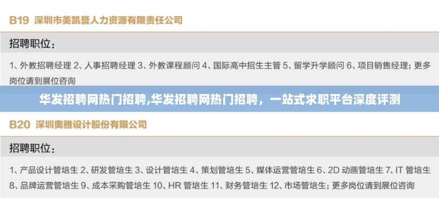 华发招聘网热门职位深度解析，一站式求职平台评测