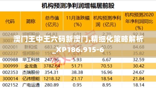 澳门王中王六码新澳门,精细化策略解析_XP186.915-6