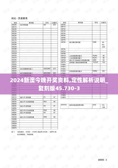 2024新澳今晚开奖资料,定性解析说明_复刻版45.730-3