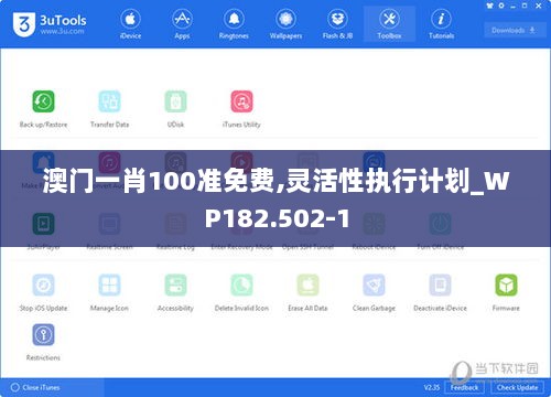 澳门一肖100准免费,灵活性执行计划_WP182.502-1