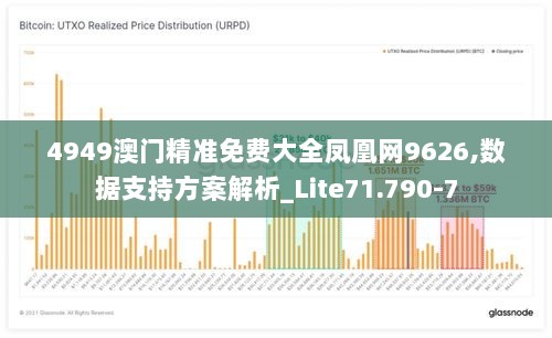 4949澳门精准免费大全凤凰网9626,数据支持方案解析_Lite71.790-7