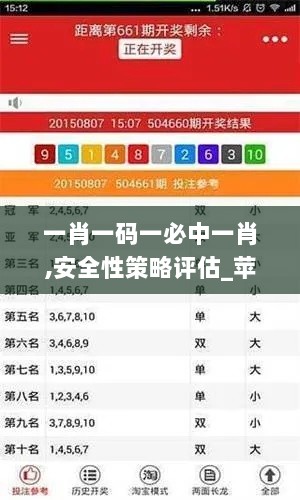 一肖一码一必中一肖,安全性策略评估_苹果25.649-3