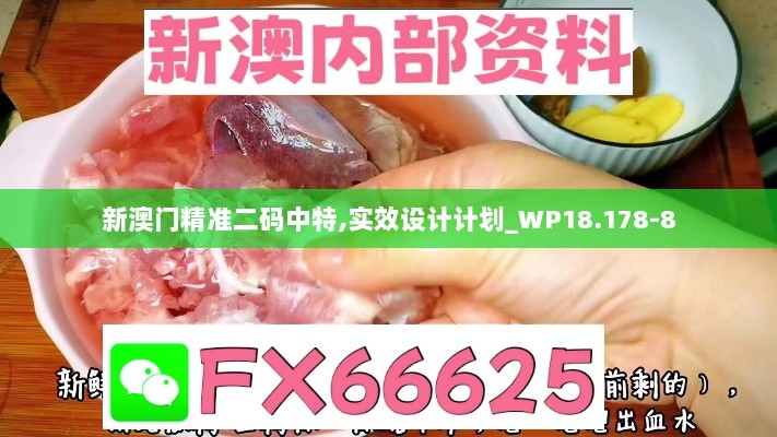 新澳门精准二码中特,实效设计计划_WP18.178-8