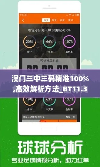 澳门三中三码精准100%,高效解析方法_BT11.390-7