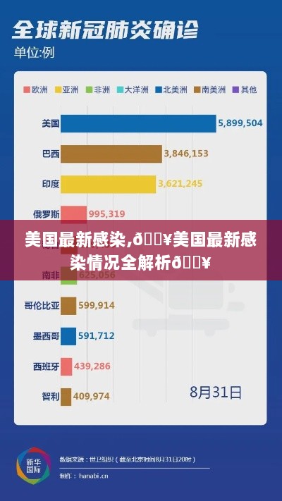 美国最新感染情况全解析