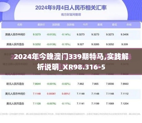 2024年今晚澳门339期特马,实践解析说明_XR98.316-5