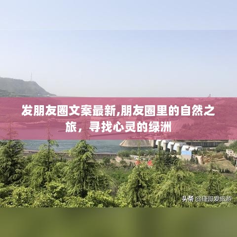 朋友圈里的自然之旅，寻找心灵的绿洲