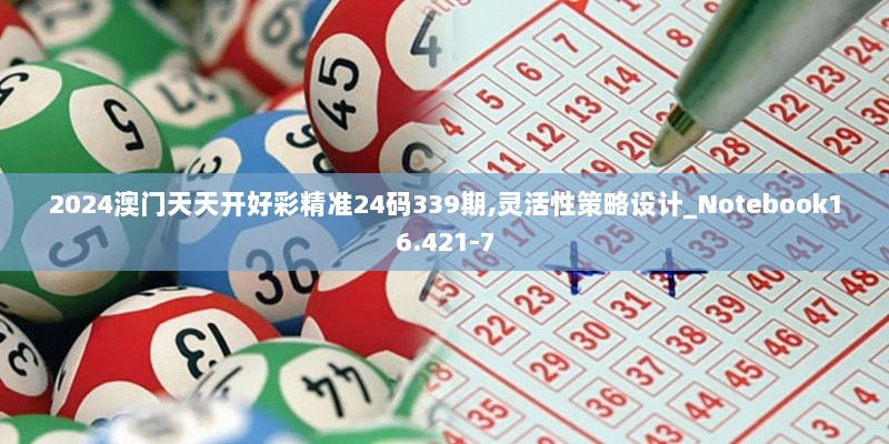 2024澳门天天开好彩精准24码339期,灵活性策略设计_Notebook16.421-7