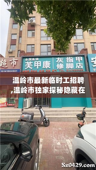 温岭市特色小店与临时工招聘火热开启，探秘小巷深处的惊喜！