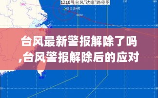 台风警报解除后的应对步骤指南