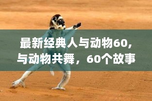 与动物共舞，60个故事见证自信与成长的变迁