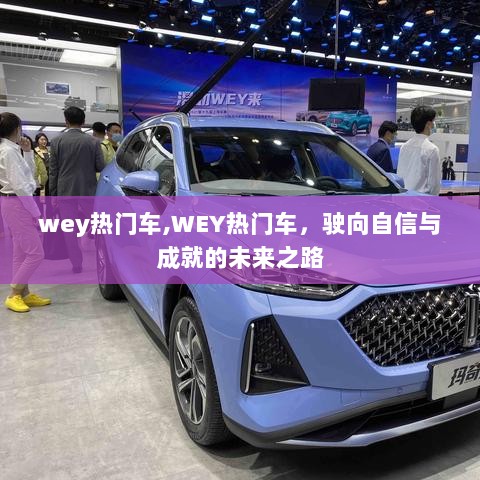 WEY热门车，驶向自信与成就的未来之路