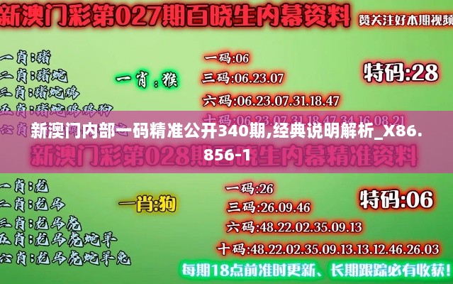 新澳门内部一码精准公开340期,经典说明解析_X86.856-1