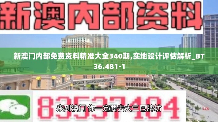 新澳门内部免费资料精准大全340期,实地设计评估解析_BT36.481-1