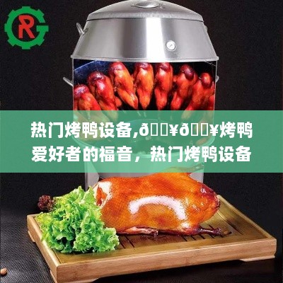 热门烤鸭设备，烤鸭爱好者的必备福音！