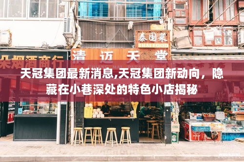 天冠集团新动向，揭秘隐藏在小巷深处的特色小店