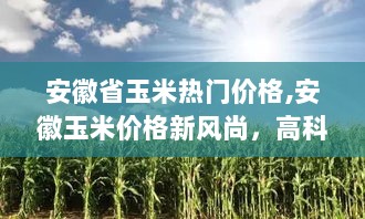 安徽玉米价格新风尚，高科技玉米价格监测与智能分析系统助力市场决策