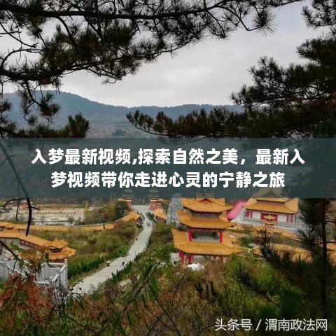 入梦自然之旅，探索心灵宁静的最新视频