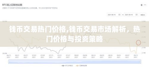钱币交易市场解析，热门价格与投资策略分析
