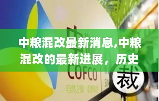 中粮混改最新进展，历史、影响与时代地位的探索