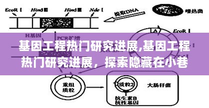 2024年12月5日