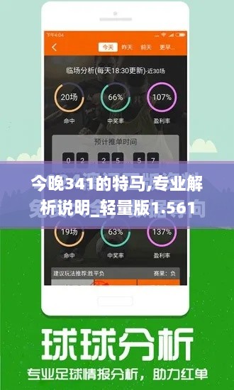 今晚341的特马,专业解析说明_轻量版1.561