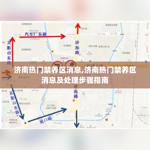 济南热门禁养区消息及处理步骤指南