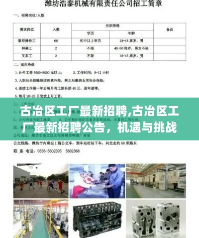 古冶区工厂最新招聘公告，机遇与挑战共绘发展蓝图