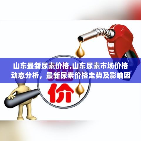 山东尿素市场价格动态及影响因素分析