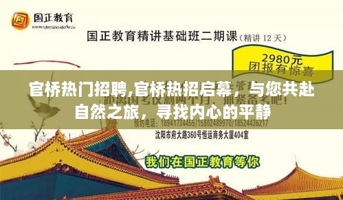 官桥热招启幕，共赴自然之旅，寻找内心的平静与职业机遇