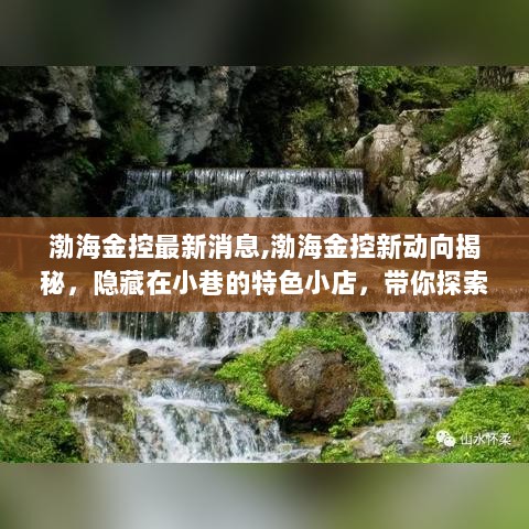 渤海金控新动向揭秘，探索特色小店的美食之旅